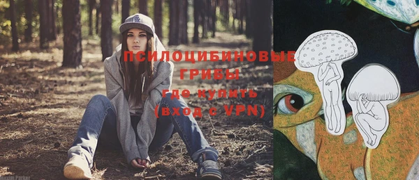 ECSTASY Володарск