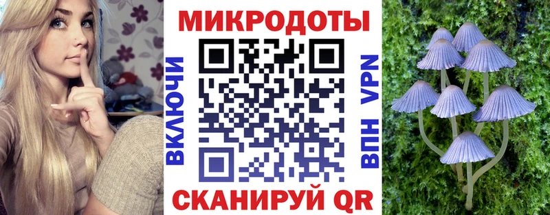 дарк нет формула  Очёр  Галлюциногенные грибы Psilocybe  дарнет шоп 